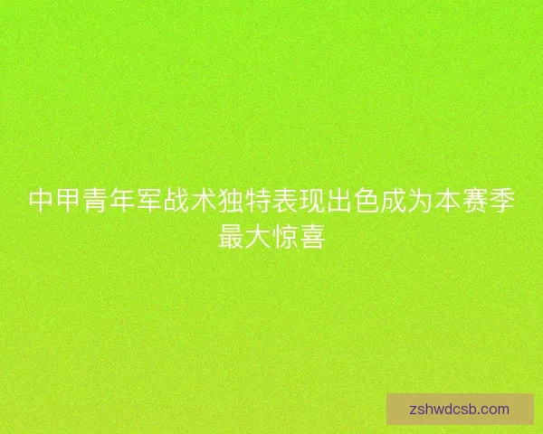中甲青年军战术独特表现出色成为本赛季最大惊喜